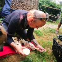 Andrew 'BING' Bingham