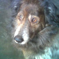 Alfredo Barrera Lindao