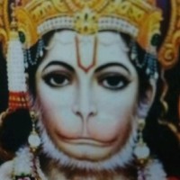 Shekar N