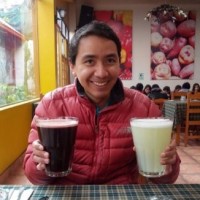 Carlos Palomino Moya