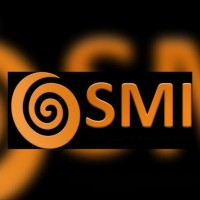 SMI Group Consulting