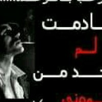 محمود محمود