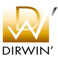 Consultant daf DIRWIN