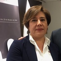 Indelisa Desarrollo Infantil