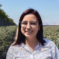 Pamela Alejandra Chavez Infante
