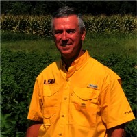 Scott Martin