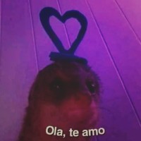 Edwin Castillo Torres