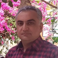 Amir Hossein Amerian