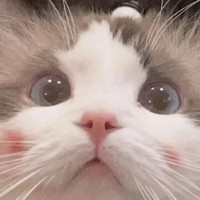 阚明慧