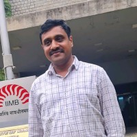 Srinidhi N