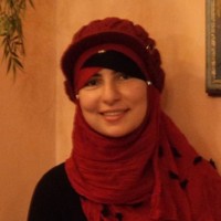 Enas M.H. Attia