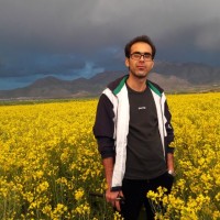 Sajad Amirian