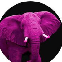 Pink Elephant España