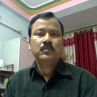 anil roy