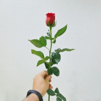 姚惠珍