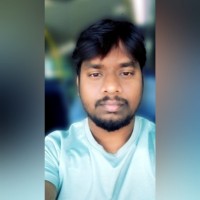 Divakar Palanimuthu