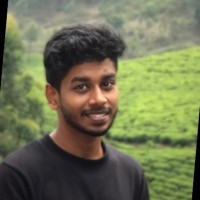 Narayan Roy