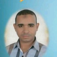 Hassan Alamir