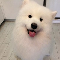 赵露露