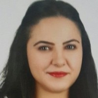 Ayşe Şeyda GÖKÇEL