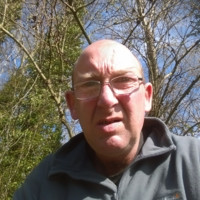 David Woods