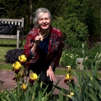 Viv Cooper