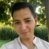 Cesar Alexis De Los Santos Manzanares