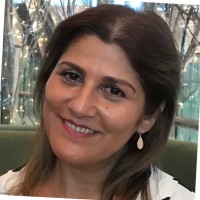 Mina Elkaei Msc, Bsc (Econ), Msc (It , Media)