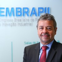 Fabio Stallivieri
