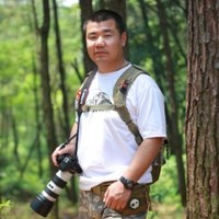 Zhang Feng