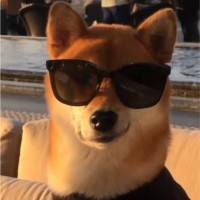 俞春晖