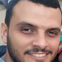 Mahmoud M Attia