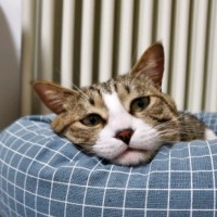 李得志