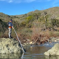 Adam Vanweerdenpoelman