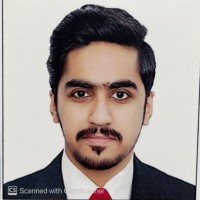 Syed Hasnain Nazir Naqvi