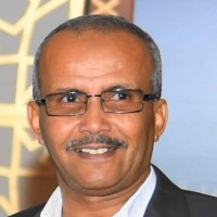 Ahmed Abdelhaleem