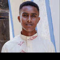 Ahmed Mohamed