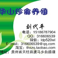 刘代平