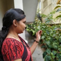 Sasikala Devarajan