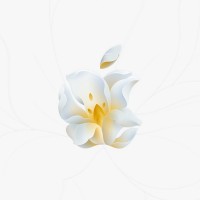 Hao Yu