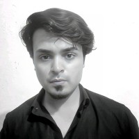 Syed Hamza Habib
