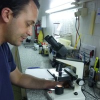 Pablo Gabriel Sironi