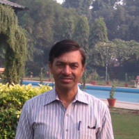 Rattan Arya