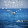 Waqas Latif Siyal