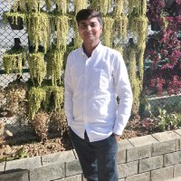 Alok Dwivedi