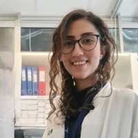 Negin Zarei