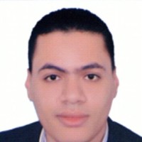 Amr Halim