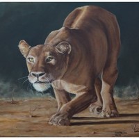 Alwyn Nolte