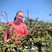 Elyse Vinyard