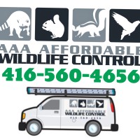 AAA Affordable Wildlife Control